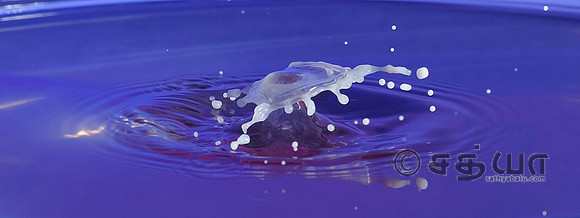 _DSC6343.jpg