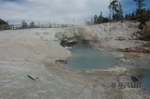 Green Dragon Spring @ Norris Geyser Basin