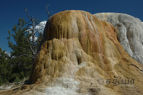Orange Spring Mound @ Mammoth Upper Terraces