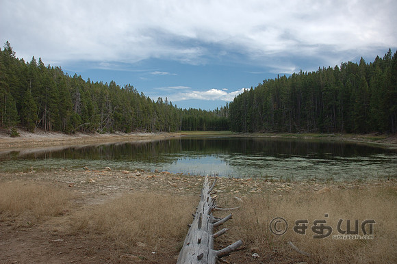 Others - Picnic Area @ Norris
