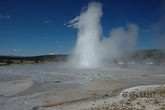 Great Fountain Geyser @ Firehole Lake Drive