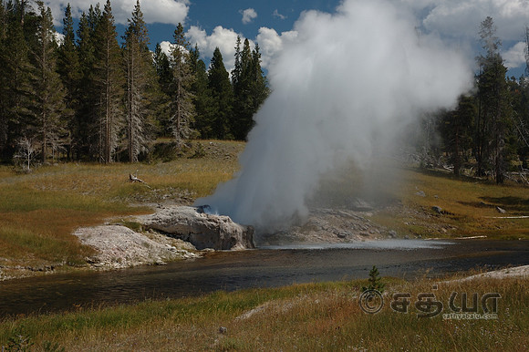 Riverside Geyser @ Upper Geyser Basin