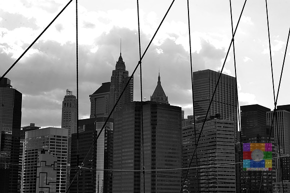_DSC2675