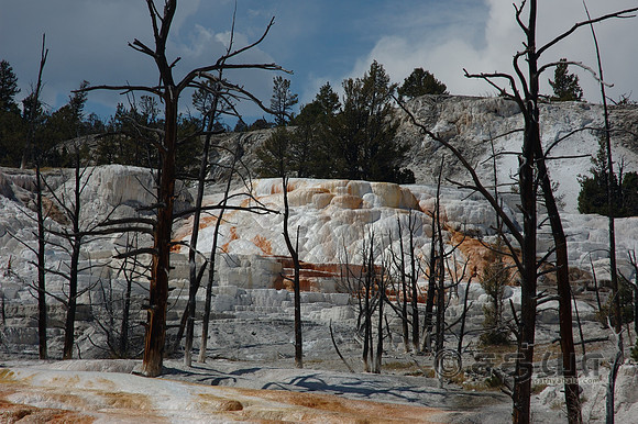 Prospect Terrace @ Mammoth Upper Terraces