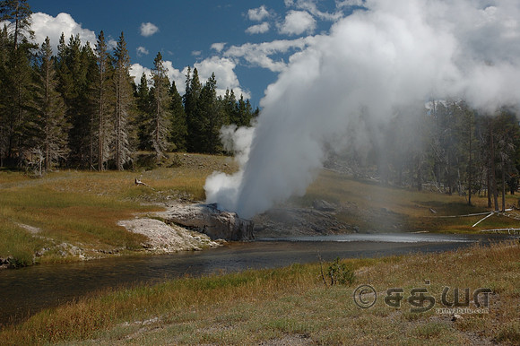 Riverside Geyser @ Upper Geyser Basin