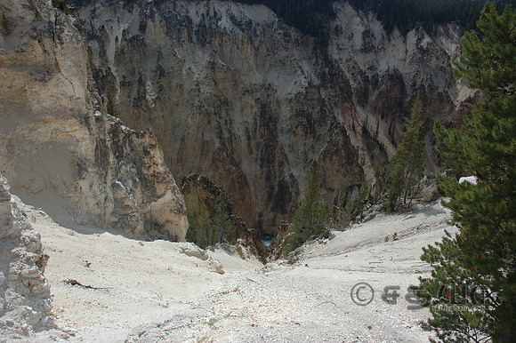 Grand Canyon of the Yellowstone