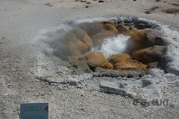 Biscuit Basin - Shell Spring