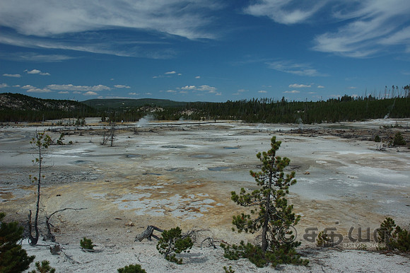 Scenery - Norris Geyser Basin