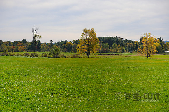 _DSC3023