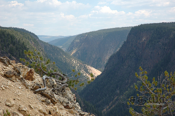 Grand Canyon of Yellowstone