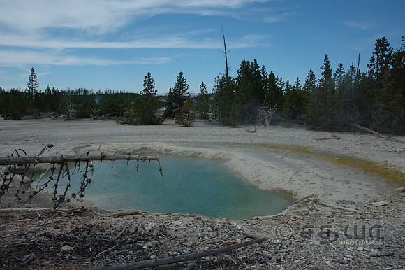 Cistern Spring @ Norris Geyser Basin