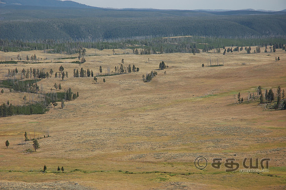 Scenery - Landscape - Bear spotting Area