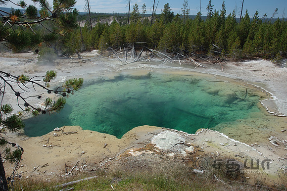 Emerald Springs @ Norris Geyser Basin