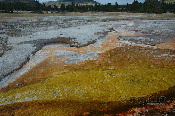 Biscuit Basin - Algaes