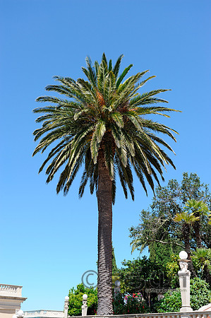 _DSC1445adobe