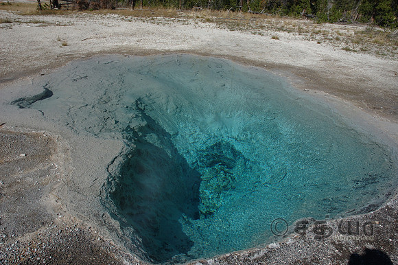 Heart Spring @ Upper Geyser Basin