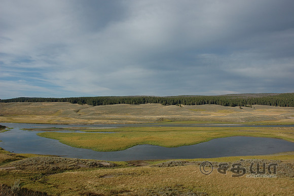 Scenery - Yellowstone River @ Hayden Valley