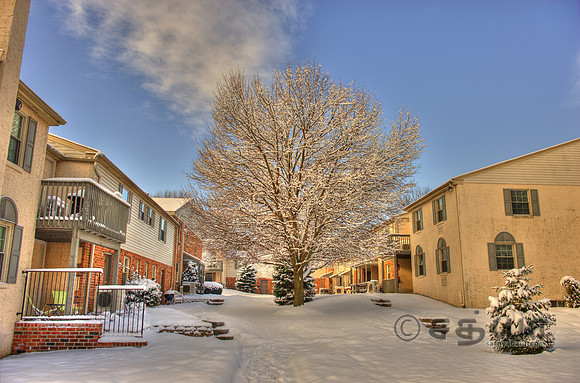 _DSC2595_6_7_srgb.jpg