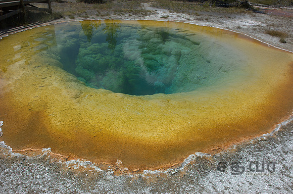 Morning Glory Pool @ Upper Geyser Basin