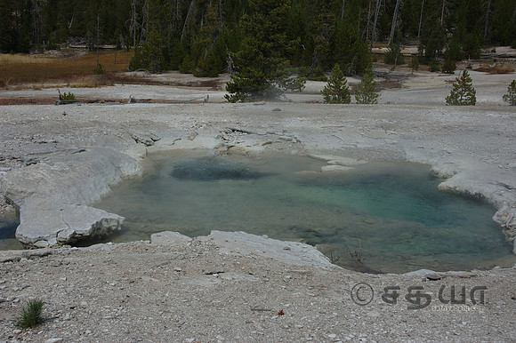 Cistern Spring @ Norris Geyser Basin