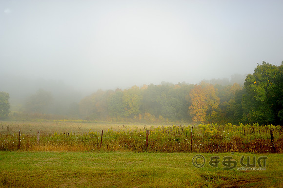 _DSC2050