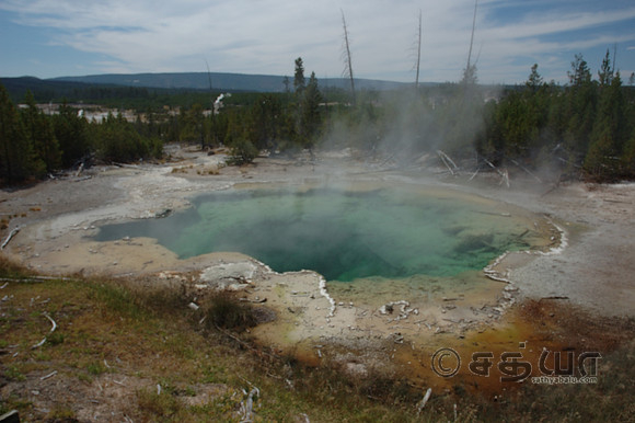 Emerald Spring @ Norris Geyser Basin
