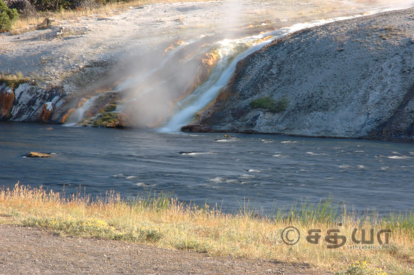 Midway Geyser Basin - Hot spring Flow into Firehole River
