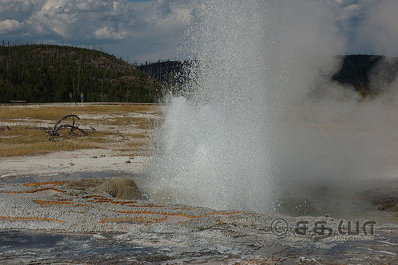 Biscuit Basin - Jewel Geyser