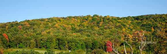 _DSC2055