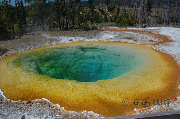Morning Glory Pool @ Upper Geyser Basin