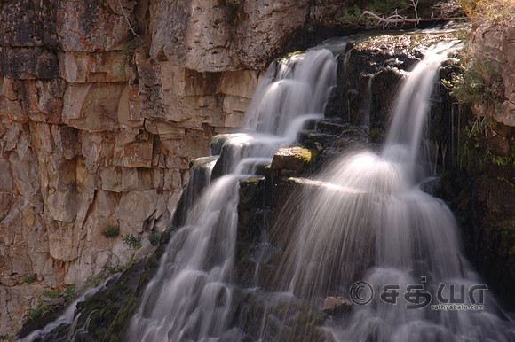 Scenery - Rustic Falls @ Golden Gate of Yellowstone