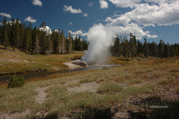 Riverside Geyser @ Upper Geyser Basin
