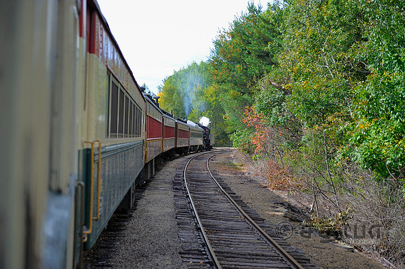 _DSC3001