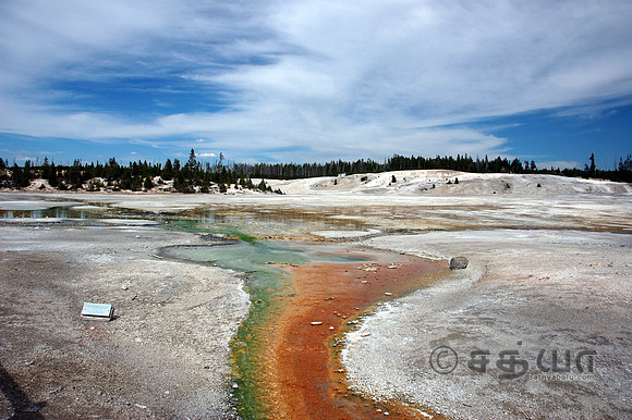 Pinwheel Geyser @ Norris Geyser Basin