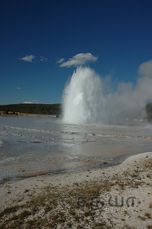 Great Fountain Geyser @ Firehole Lake Drive