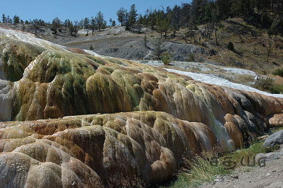 Pallete Spring @ Mammoth